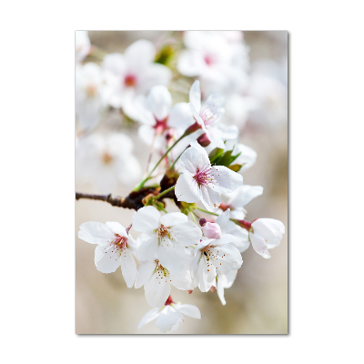 Glass wall art Cherry blossoms