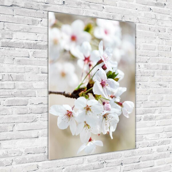 Glass wall art Cherry blossoms