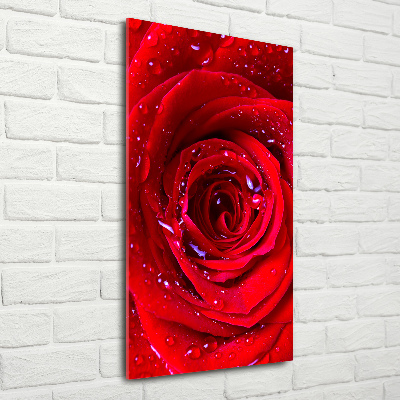 Glass wall art Red rose