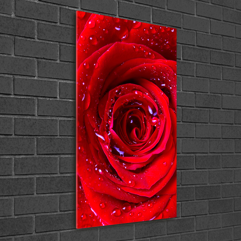 Glass wall art Red rose