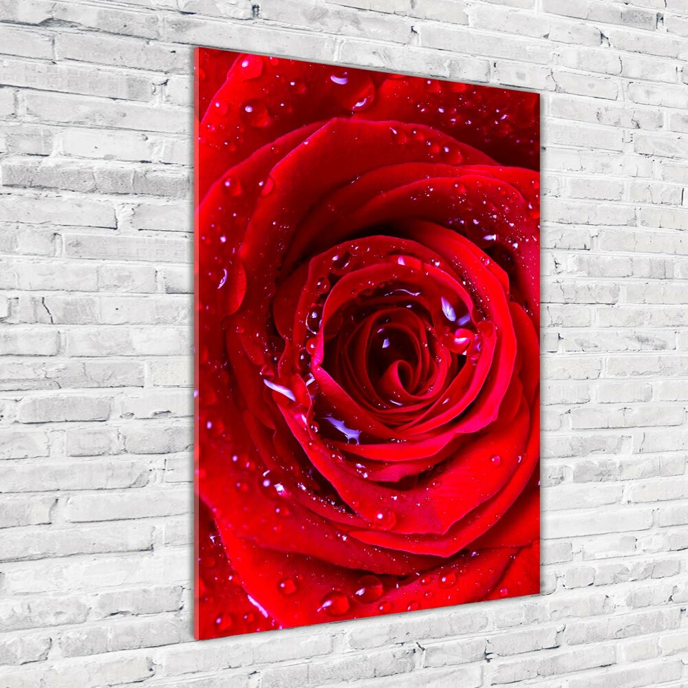 Glass wall art Red rose