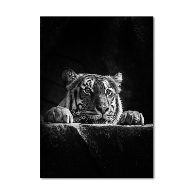 Glass wall art Tiger