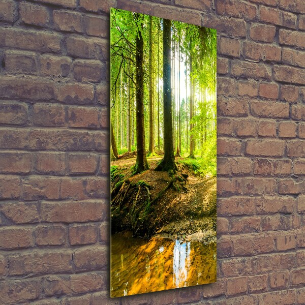 Glass wall art The sun in the forest