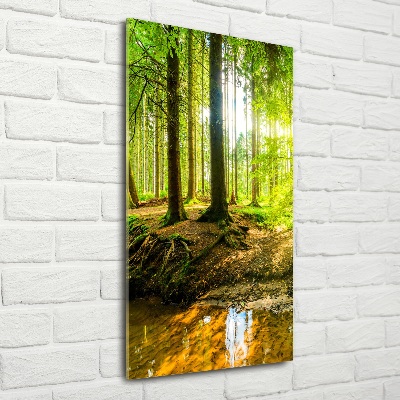 Glass wall art The sun in the forest