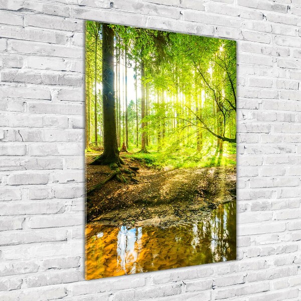 Glass wall art The sun in the forest