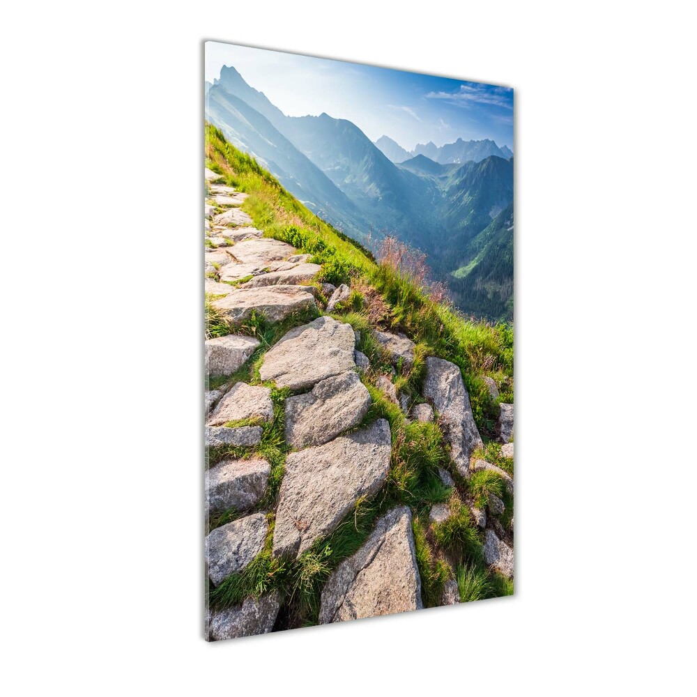 Glass wall art Mountain trail