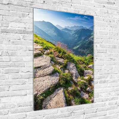 Glass wall art Mountain trail