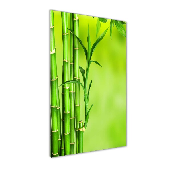 Glass wall art Bamboo