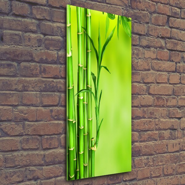 Glass wall art Bamboo