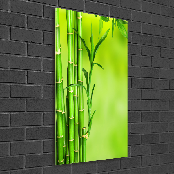 Glass wall art Bamboo