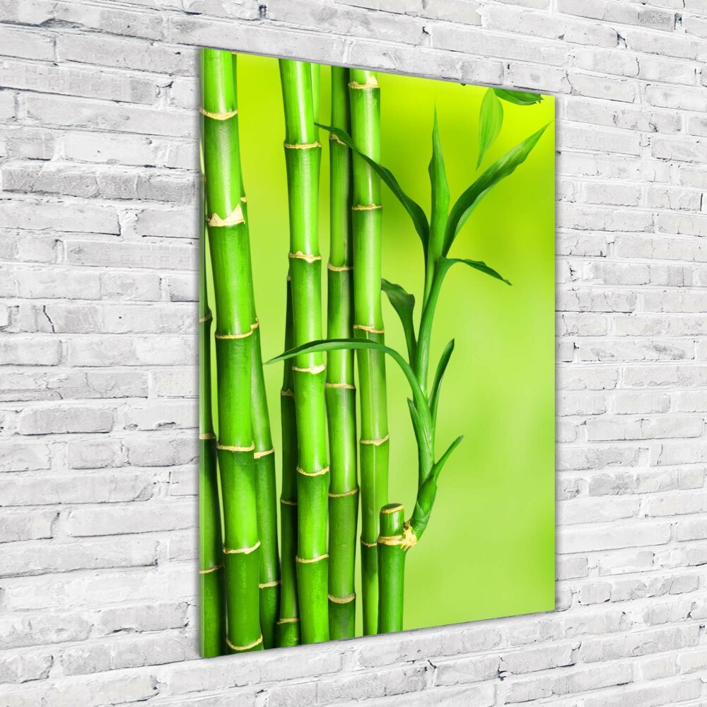 Glass wall art Bamboo