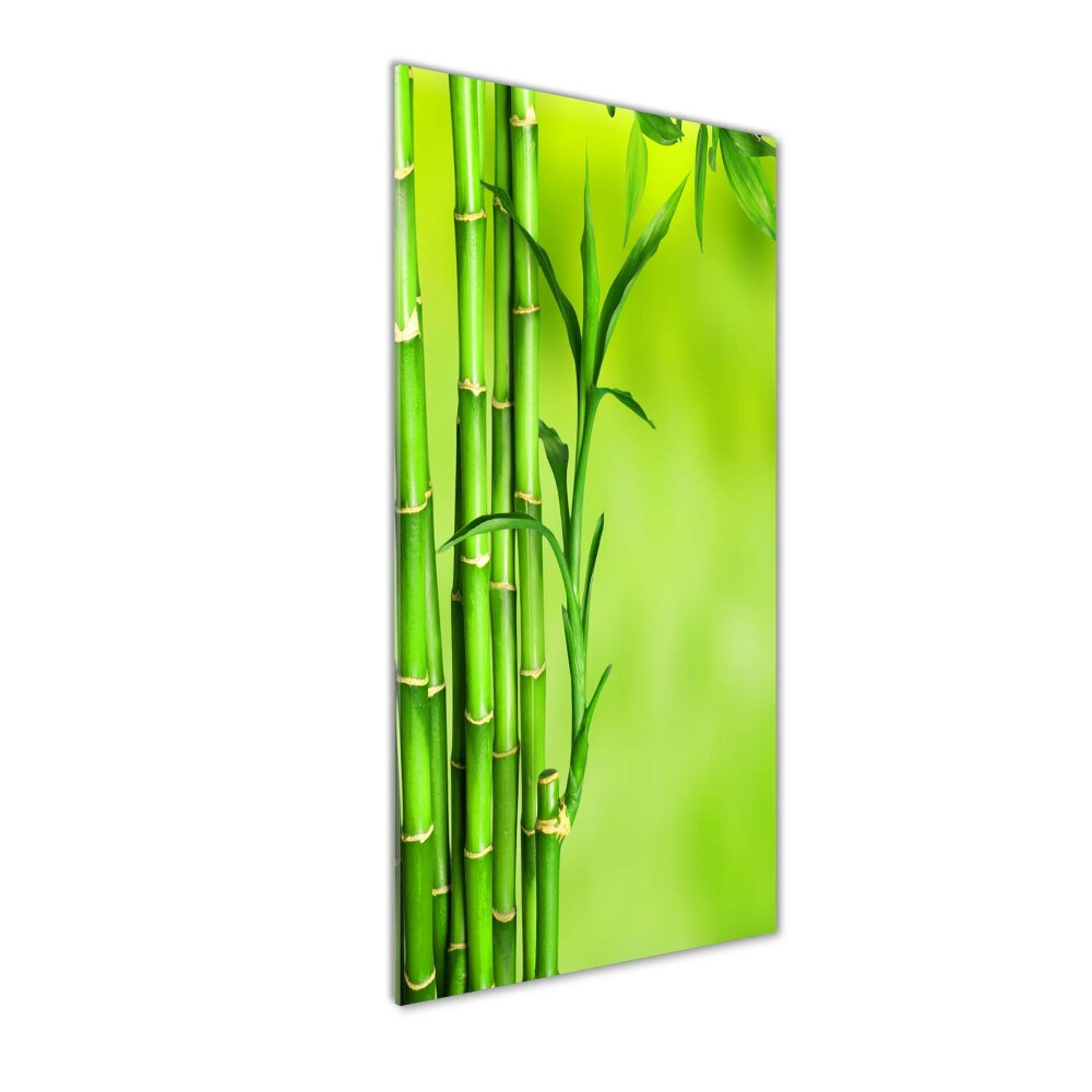 Glass wall art Bamboo