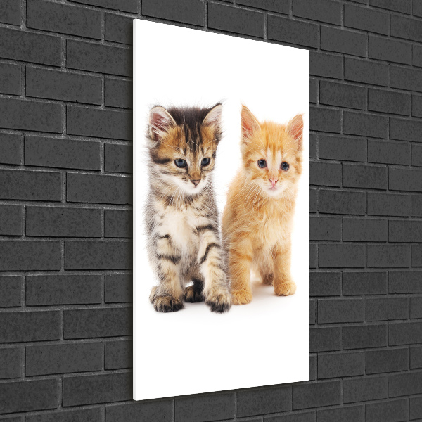 Wall art on glass Gray and red cat