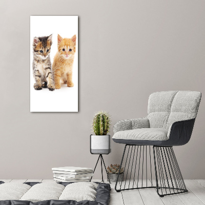 Wall art on glass Gray and red cat