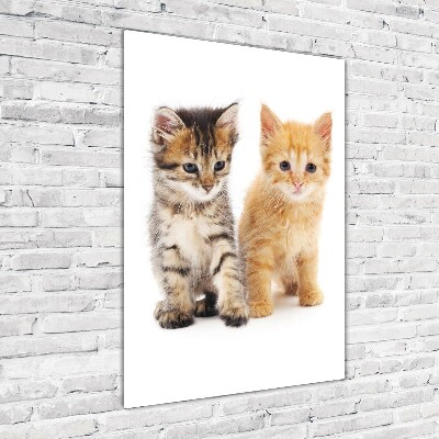 Wall art on glass Gray and red cat