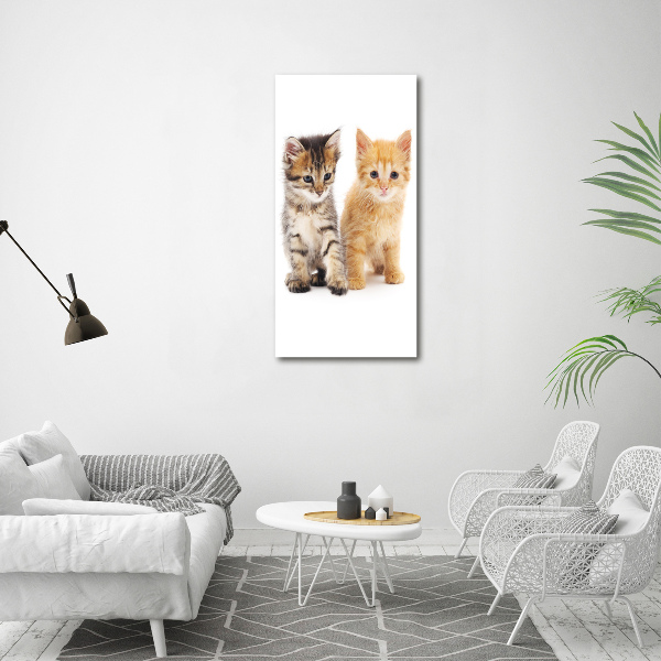 Wall art on glass Gray and red cat