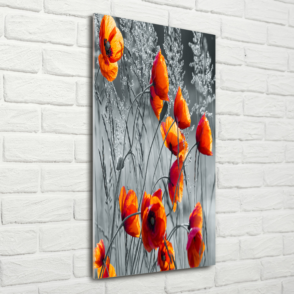 Print on a a glass Field poppies