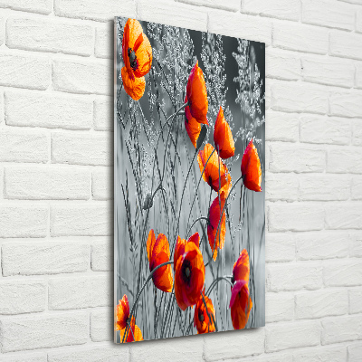 Print on a a glass Field poppies