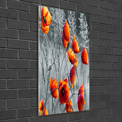 Print on a a glass Field poppies