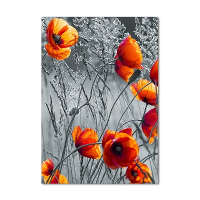 Print on a a glass Field poppies