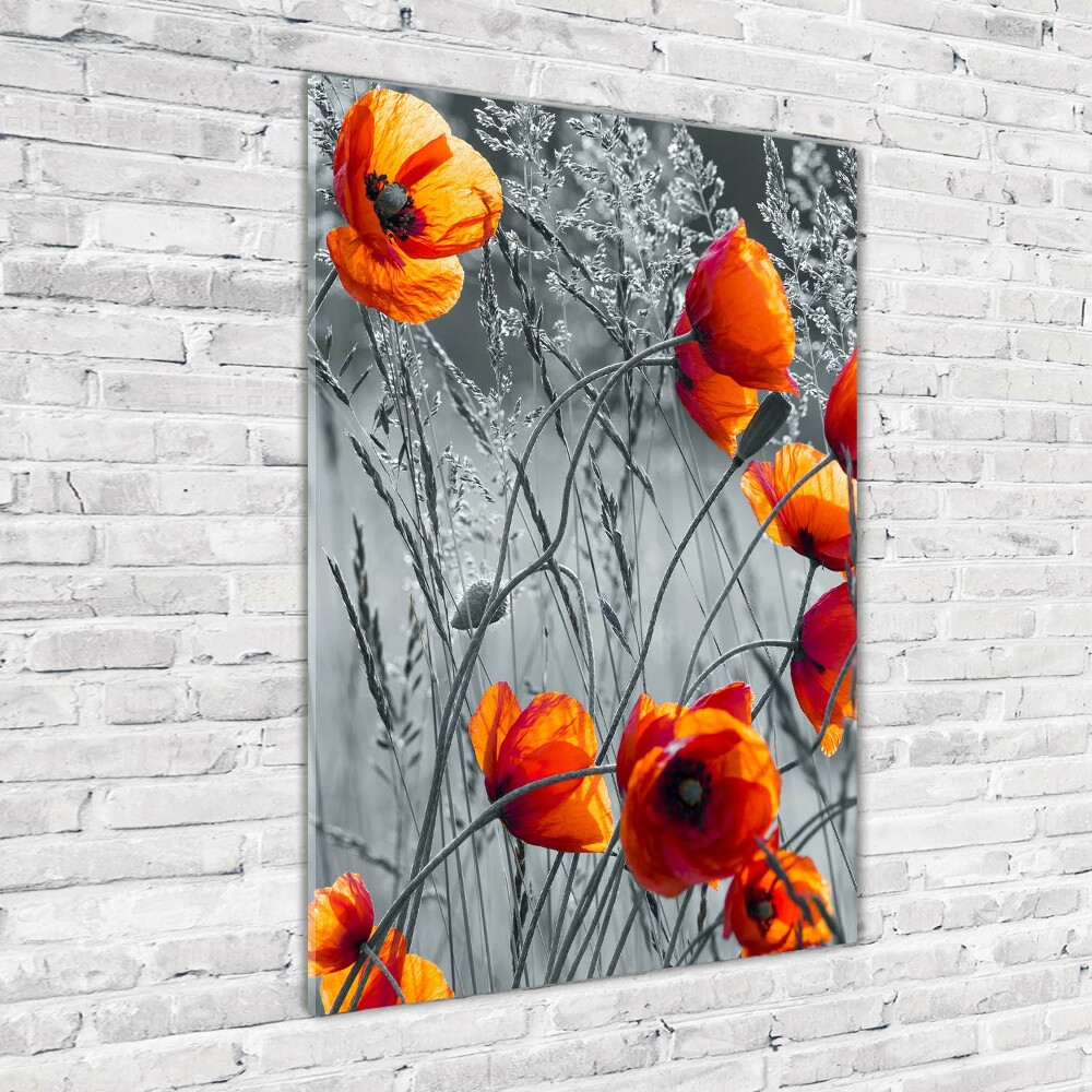 Print on a a glass Field poppies