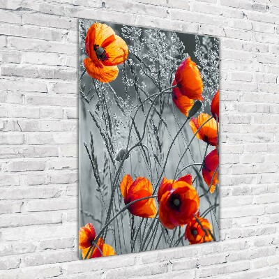 Print on a a glass Field poppies