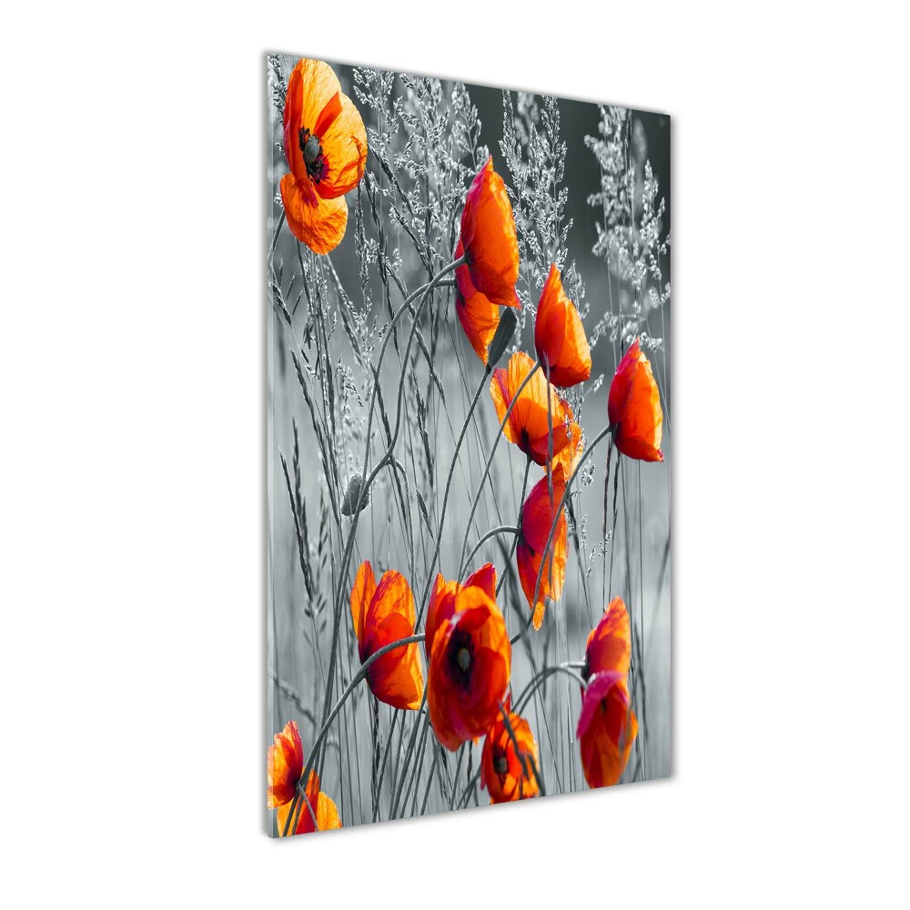 Print on a a glass Field poppies