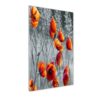 Print on a a glass Field poppies