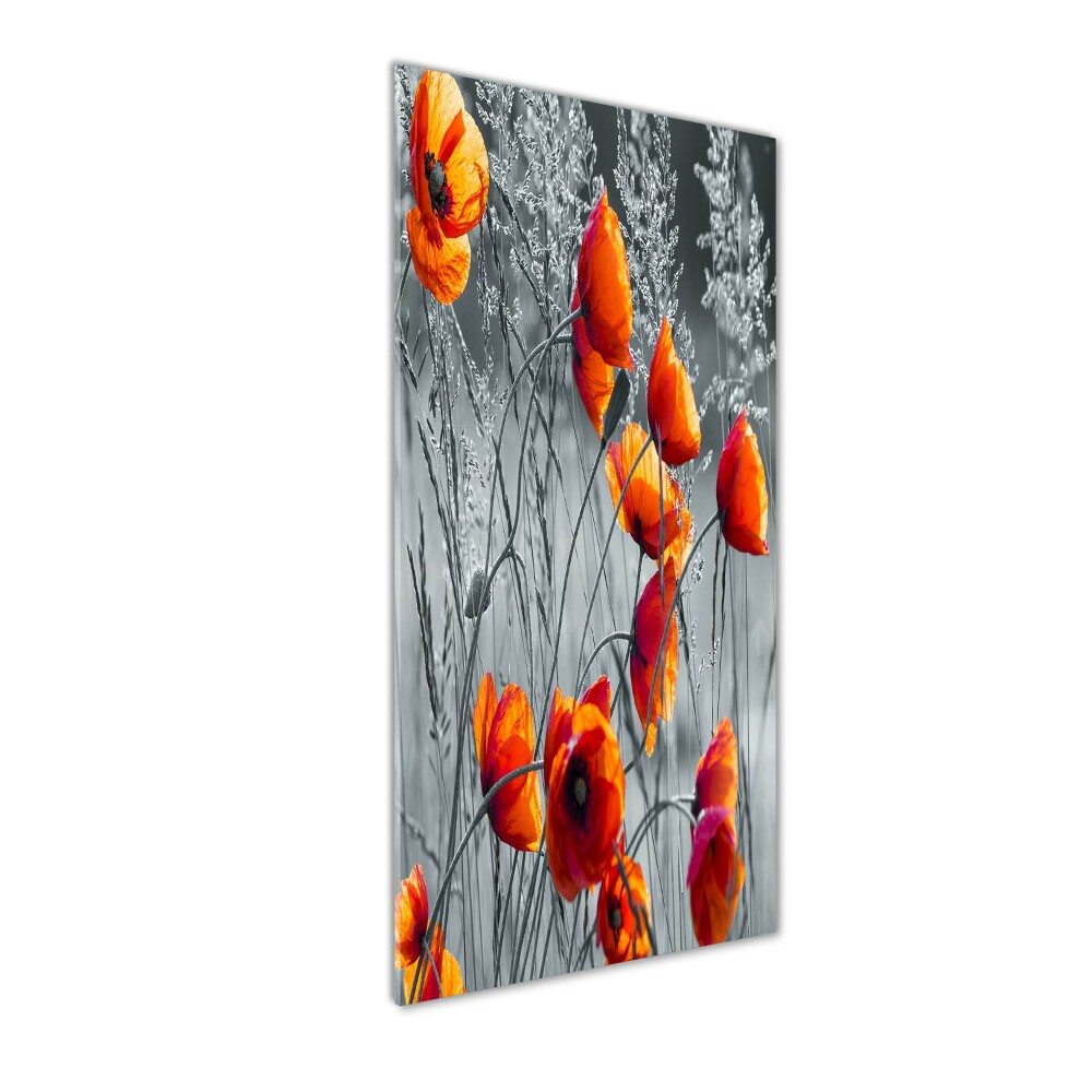 Print on a a glass Field poppies