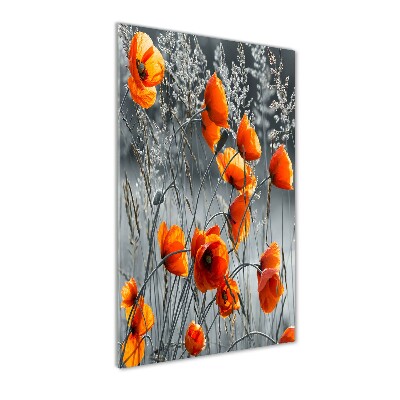 Print on a a glass Field poppies