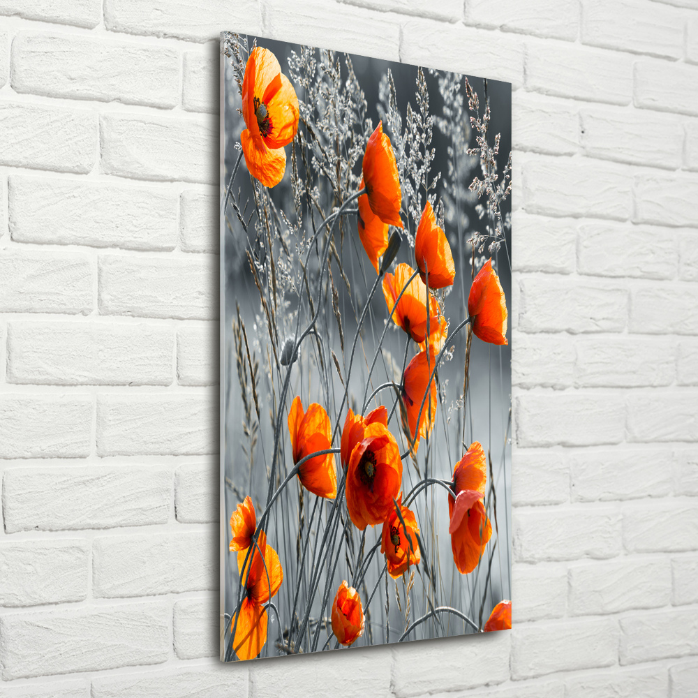 Print on a a glass Field poppies