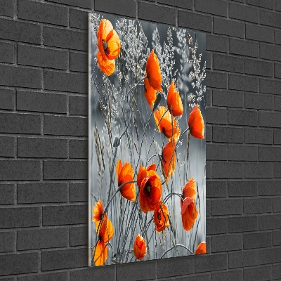 Print on a a glass Field poppies