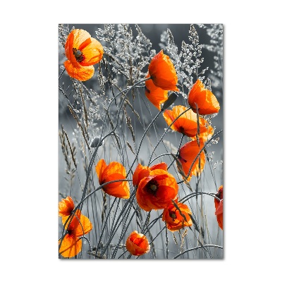 Print on a a glass Field poppies