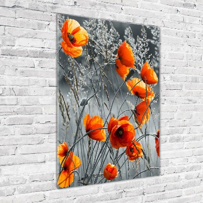 Print on a a glass Field poppies