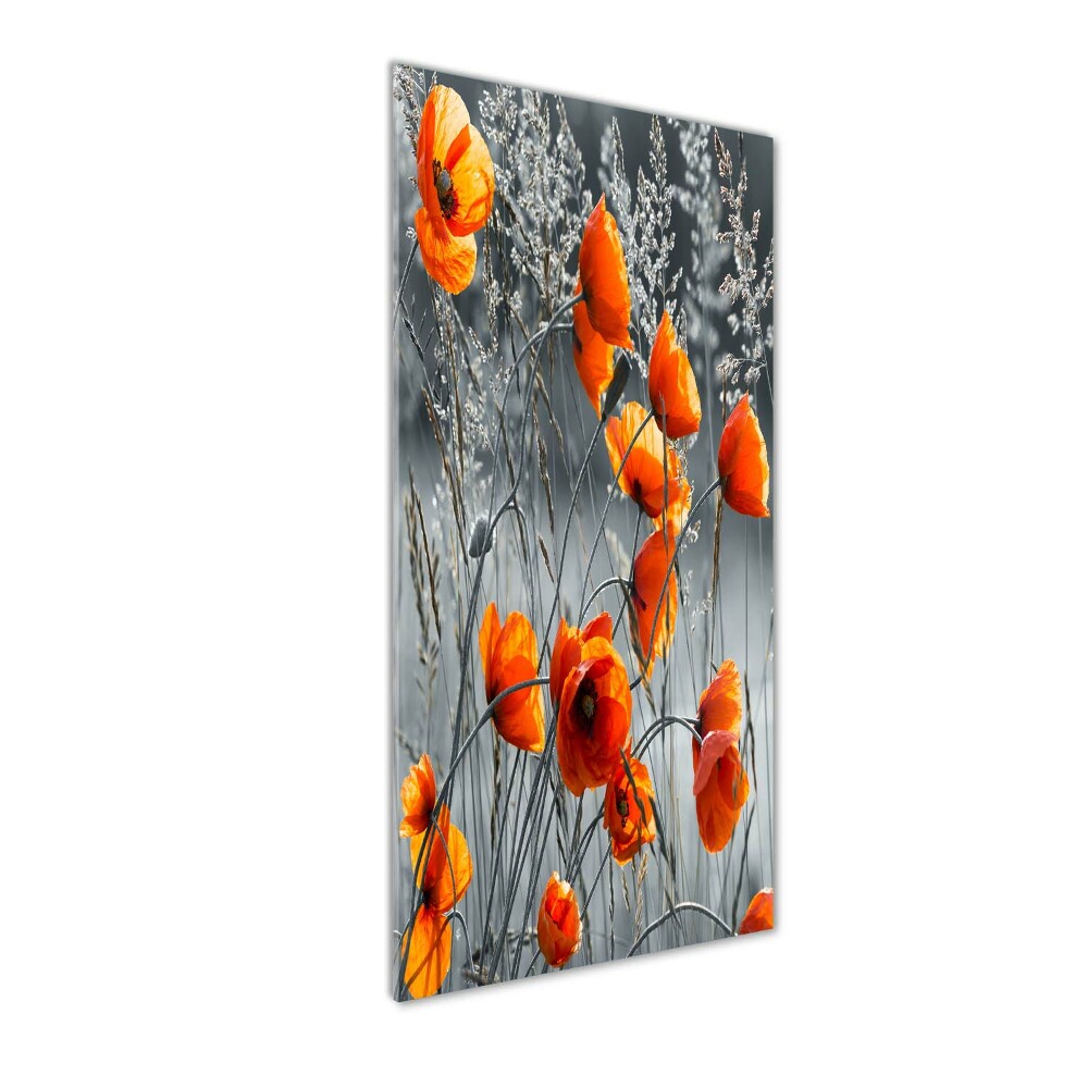 Print on a a glass Field poppies