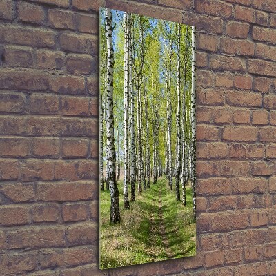 Print on a a glass Birch forest