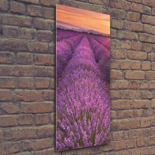 Glass art picture Lavender field