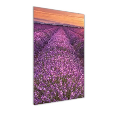 Glass art picture Lavender field