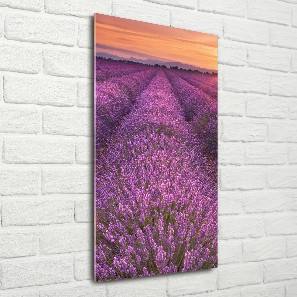 Glass art picture Lavender field