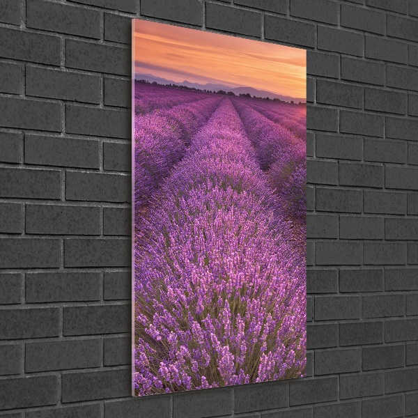 Glass art picture Lavender field