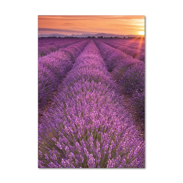 Glass art picture Lavender field