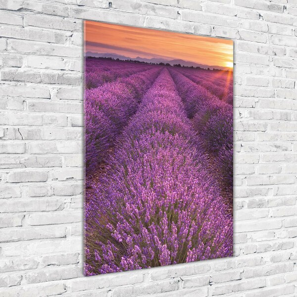 Glass art picture Lavender field