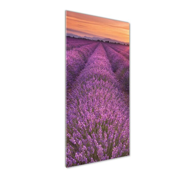 Glass art picture Lavender field