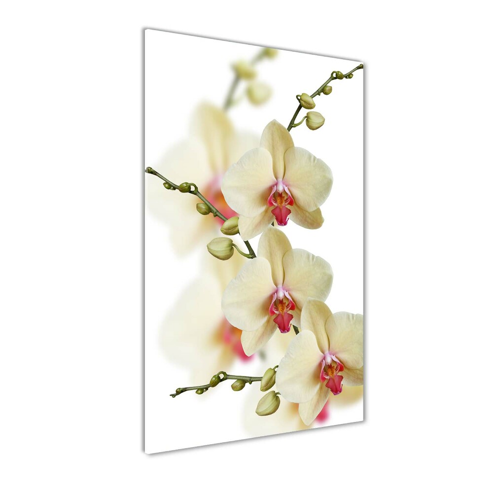 Glass wall art Orchid