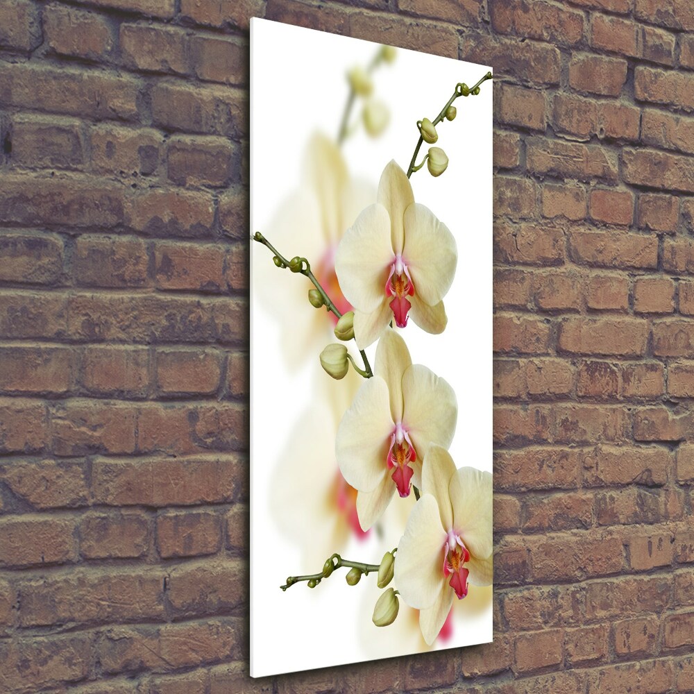 Glass wall art Orchid