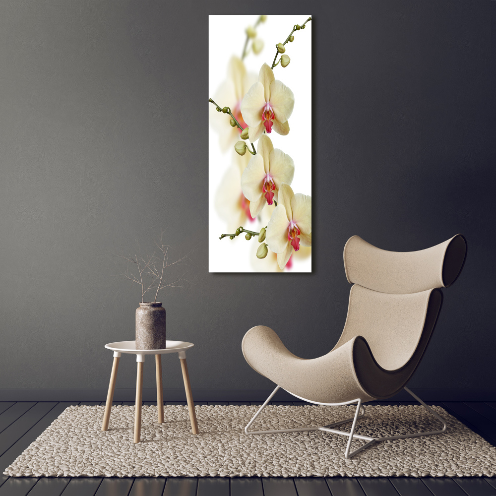 Glass wall art Orchid