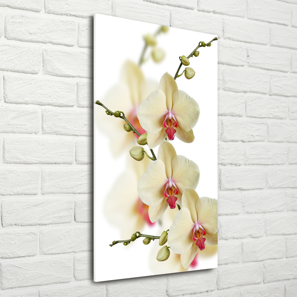 Glass wall art Orchid