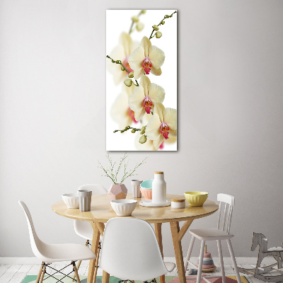 Glass wall art Orchid