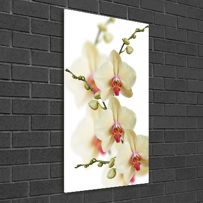 Glass wall art Orchid