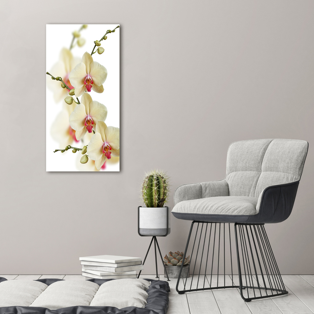 Glass wall art Orchid